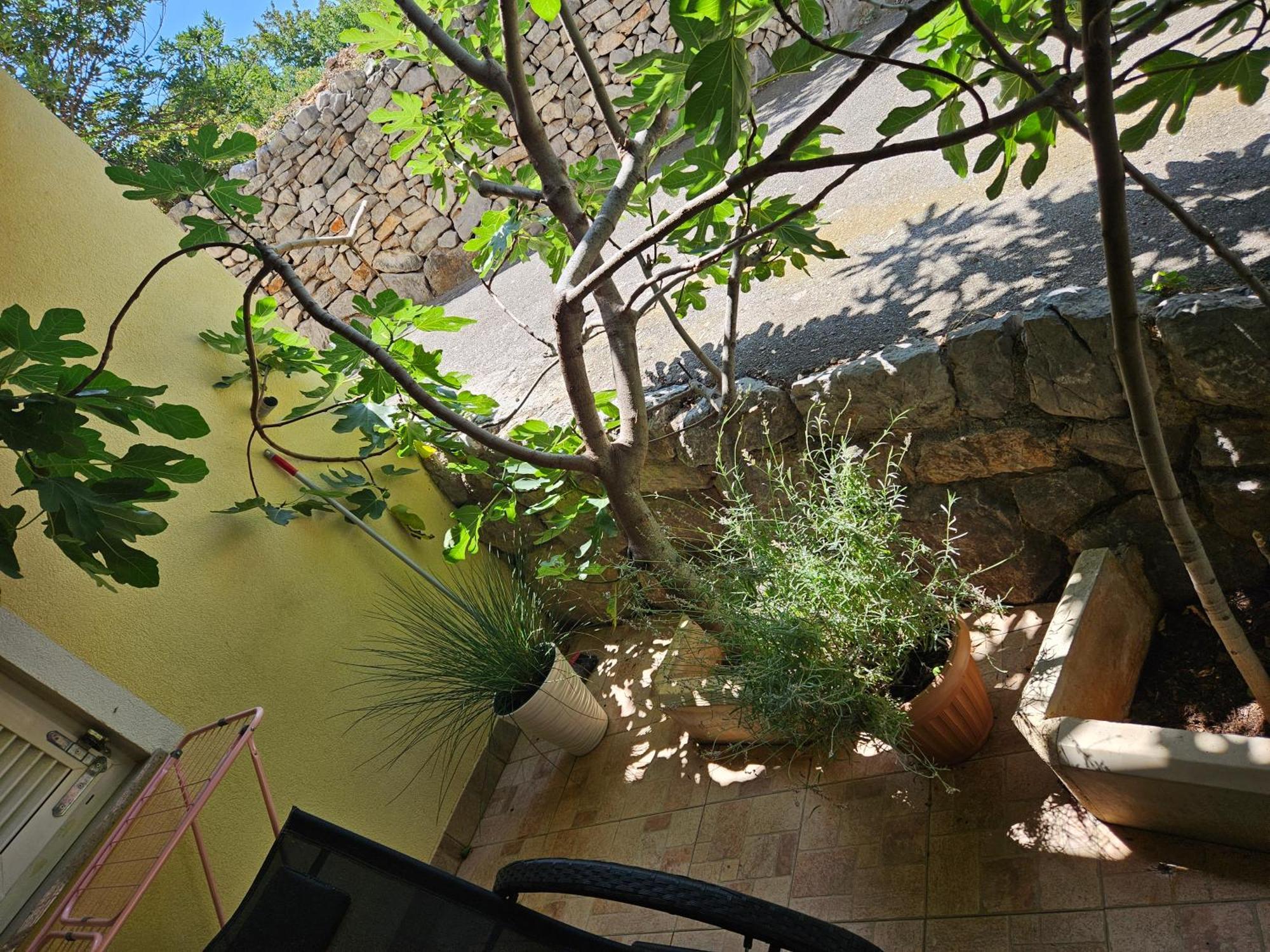 Apartmani Sanja Klenovica Bagian luar foto