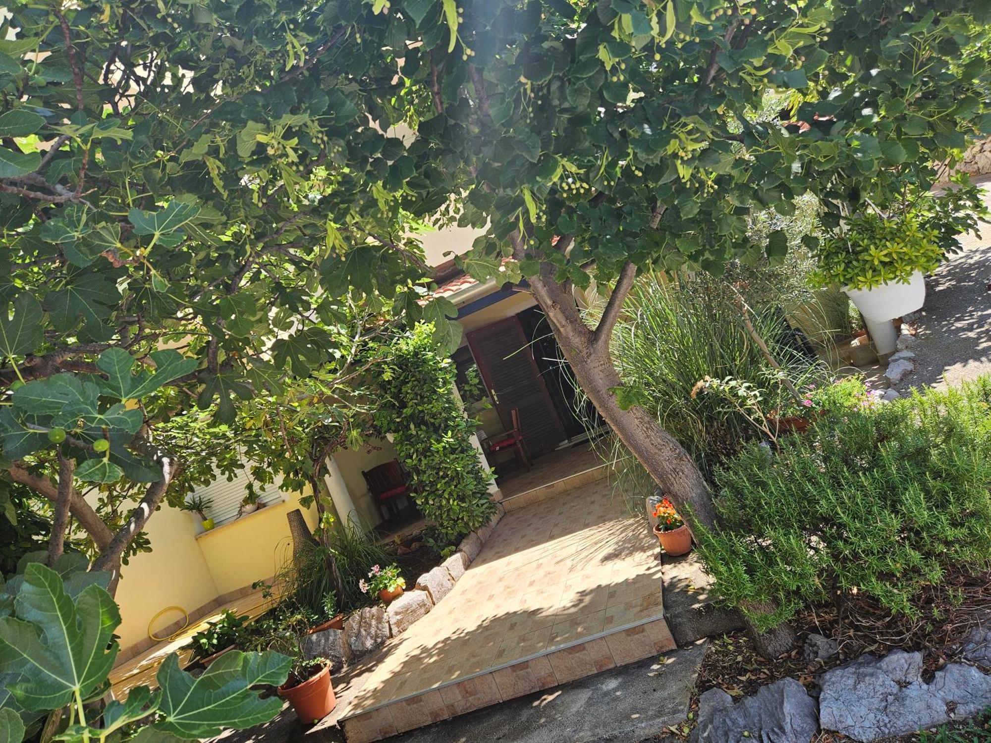 Apartmani Sanja Klenovica Bagian luar foto